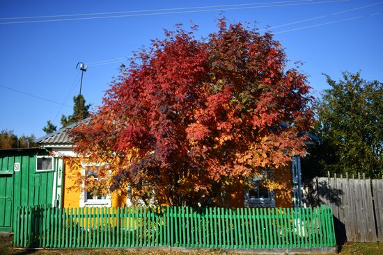 Осень в Омской области