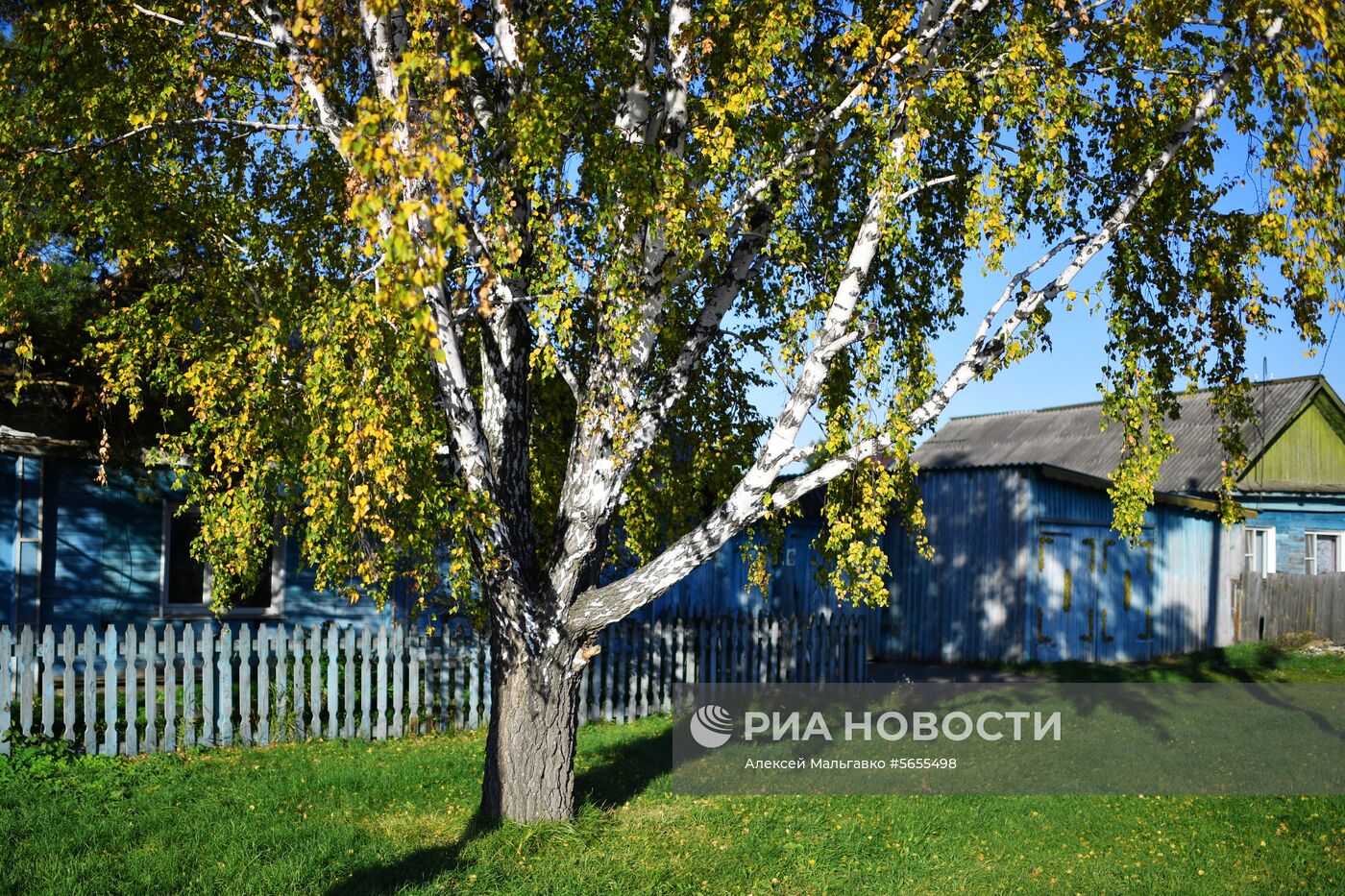 Осень в Омской области