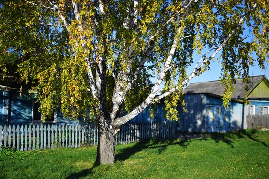 Осень в Омской области