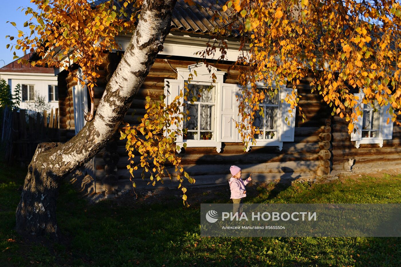 Осень в Омской области