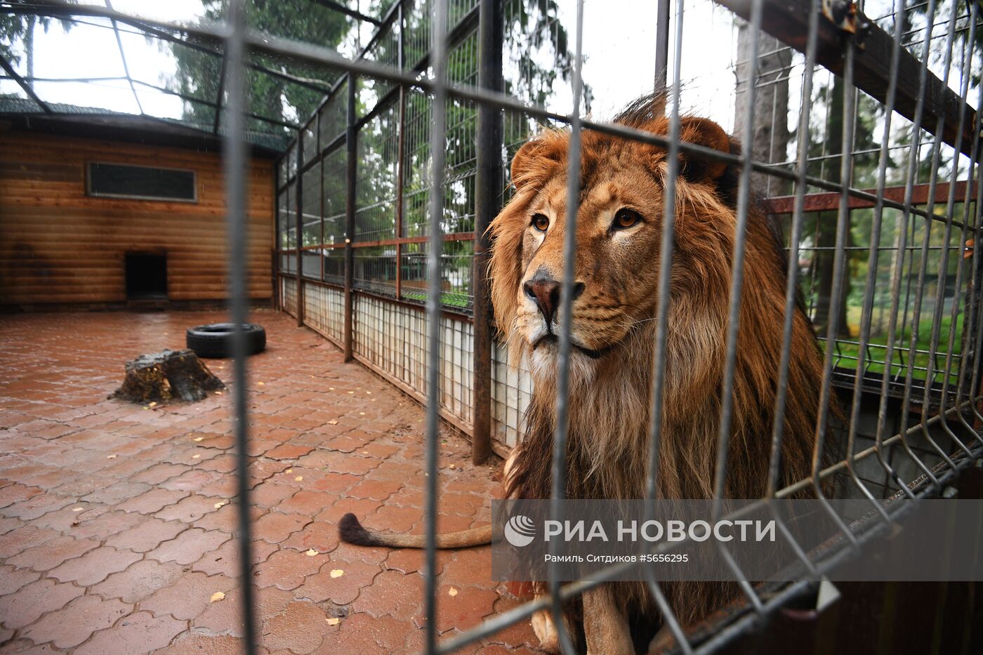 Центр передержки диких животных