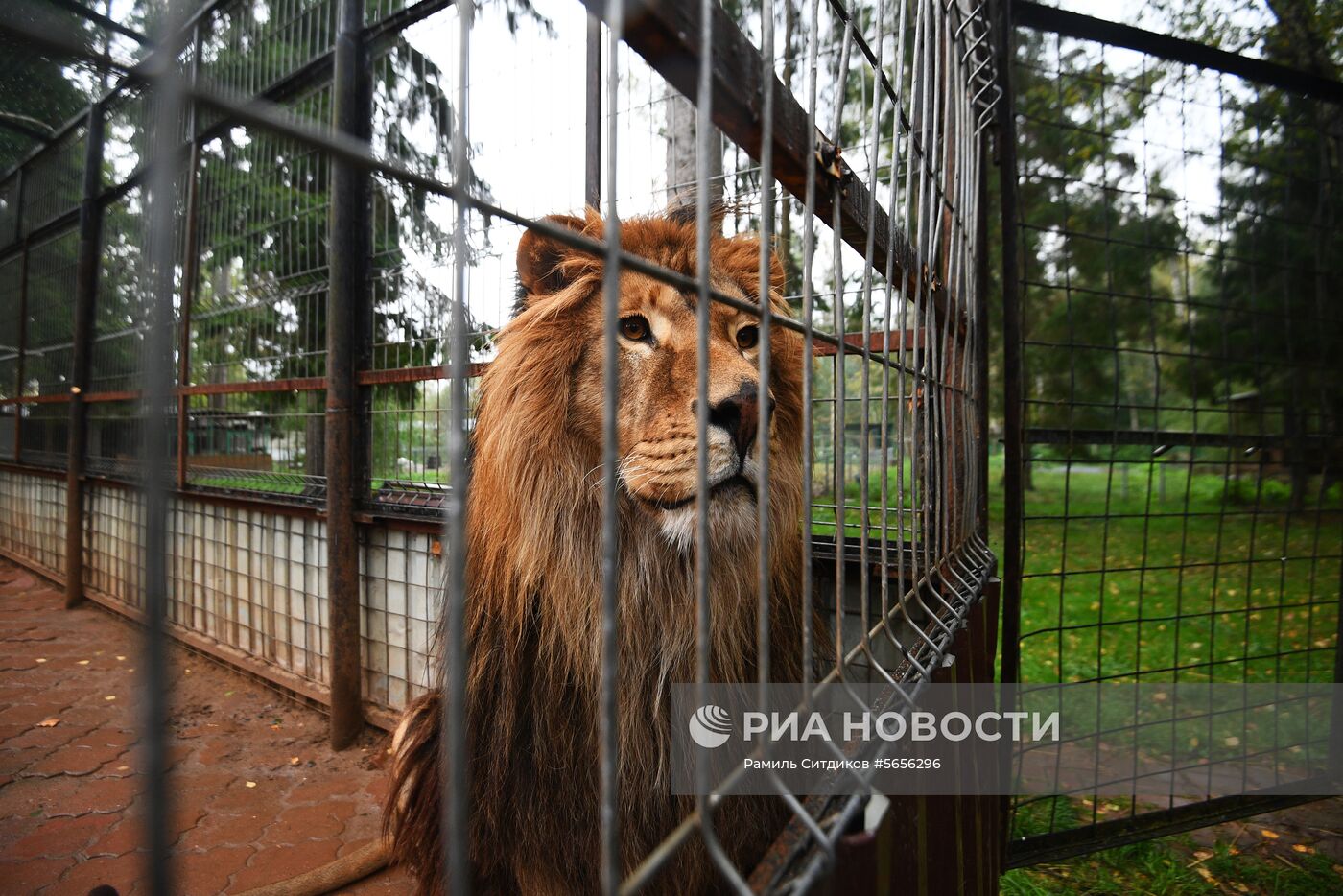 Центр передержки диких животных