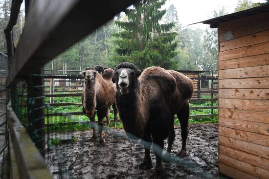 Центр передержки диких животных