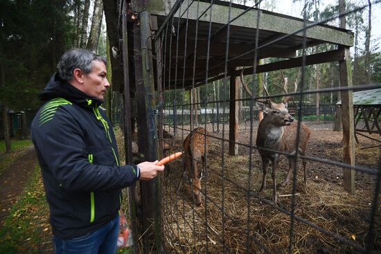 Центр передержки диких животных