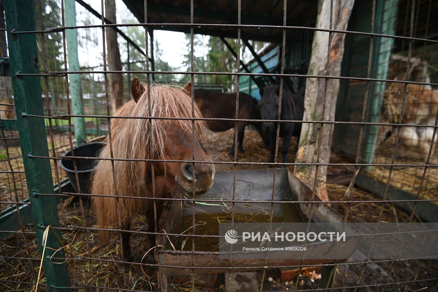 Центр передержки диких животных