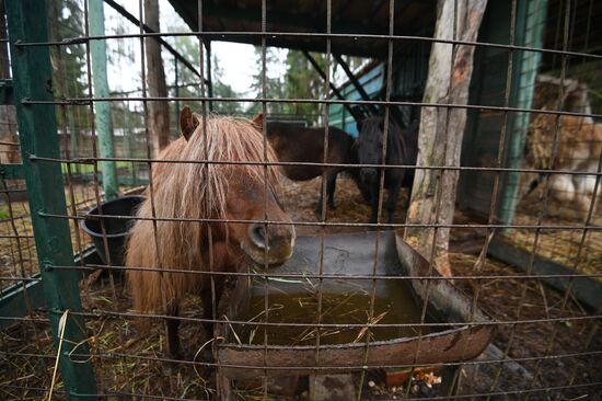 Центр передержки диких животных