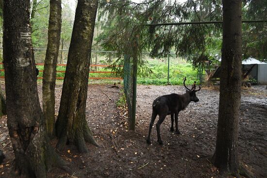 Центр передержки диких животных