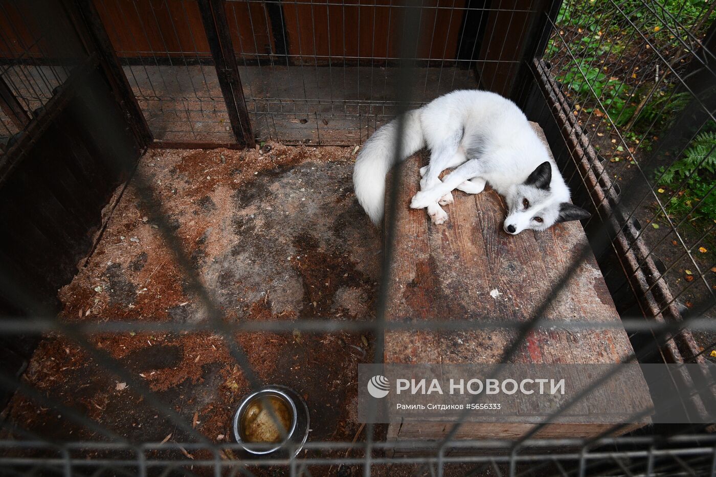 Центр передержки диких животных