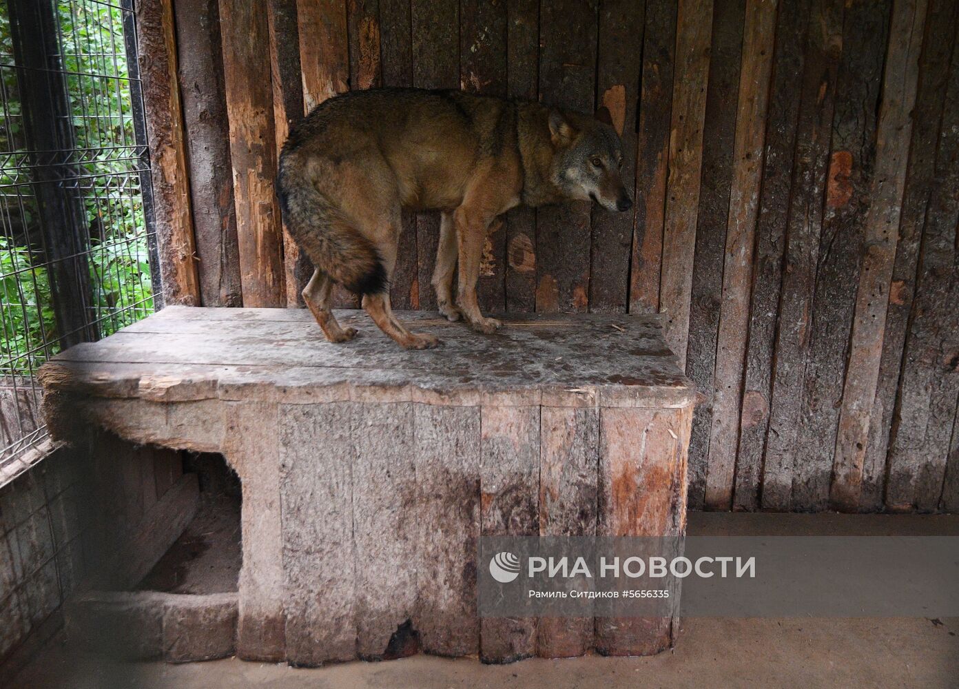 Центр передержки диких животных