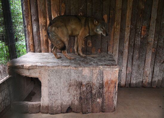 Центр передержки диких животных