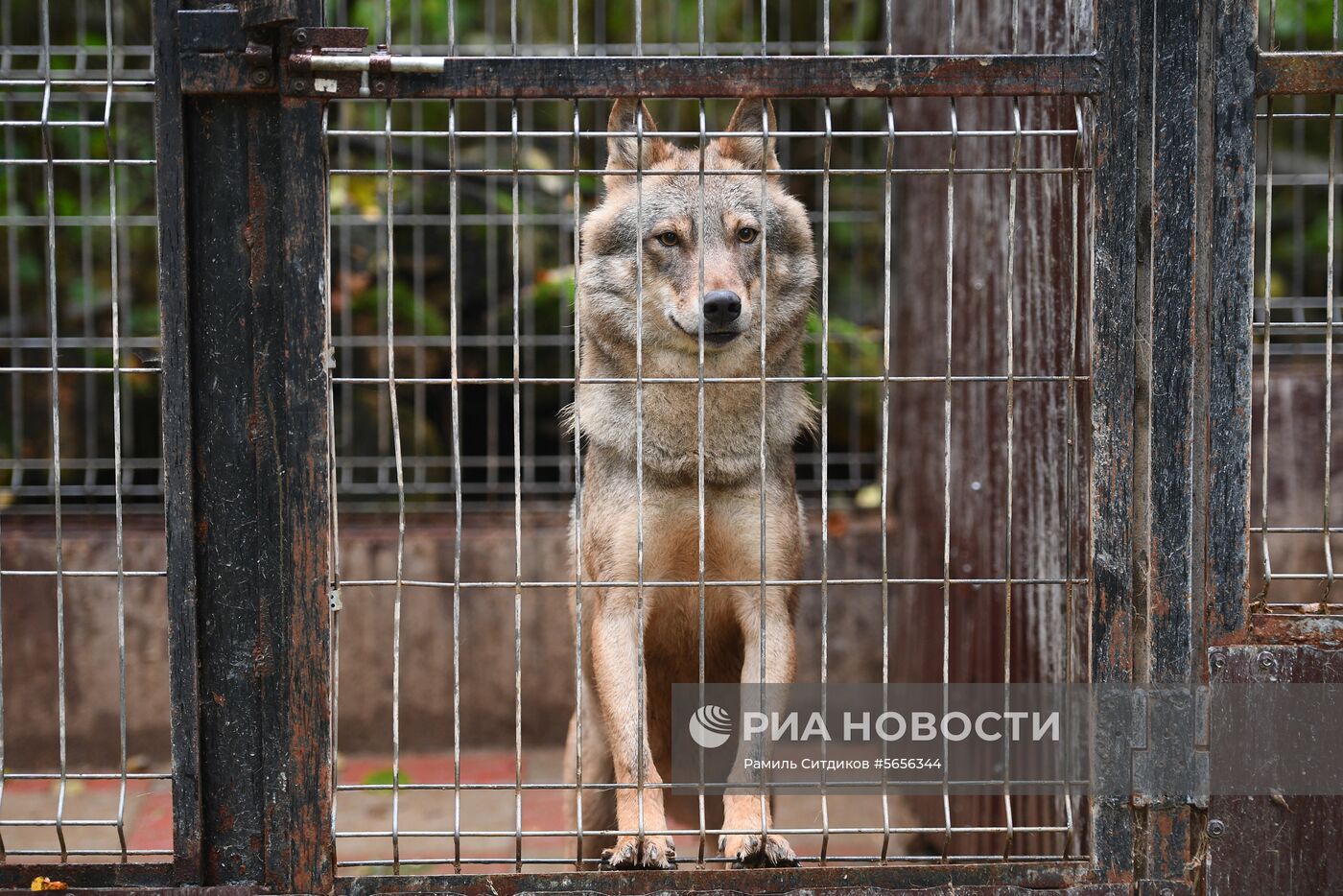 Центр передержки диких животных