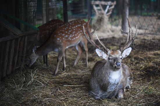 Центр передержки диких животных