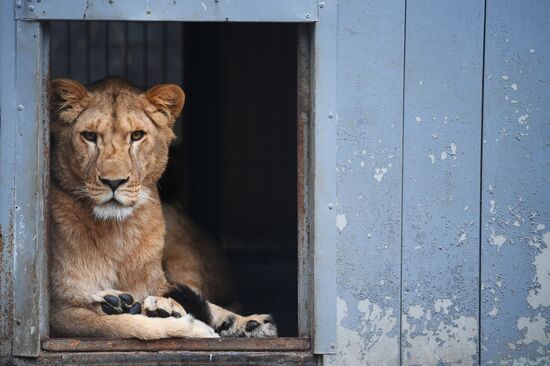 Центр передержки диких животных