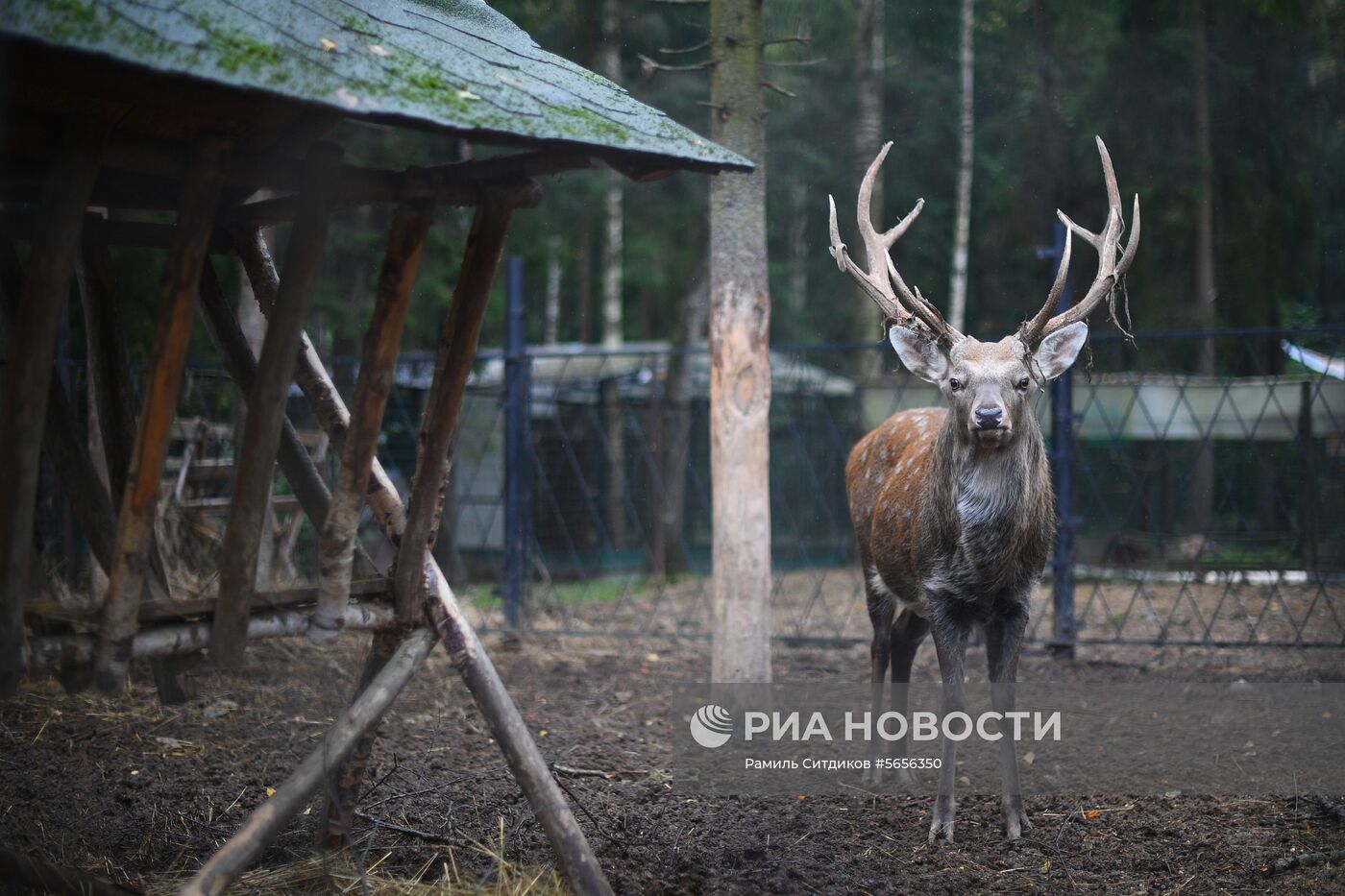 Центр передержки диких животных