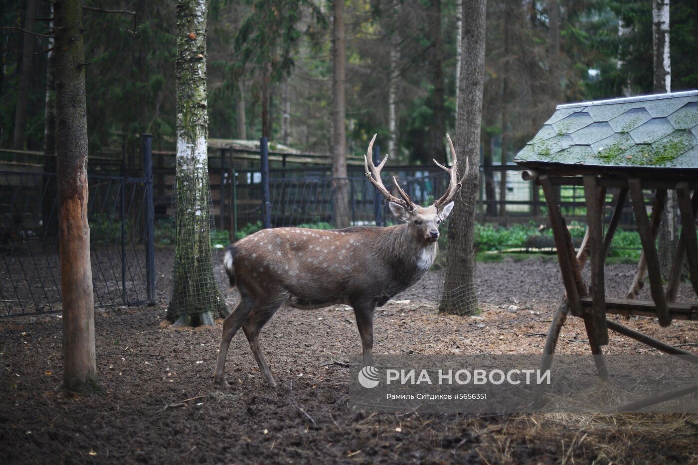 Центр передержки диких животных