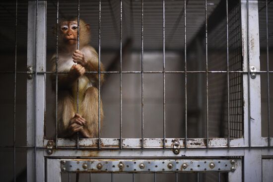 Центр передержки диких животных