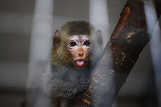 Центр передержки диких животных