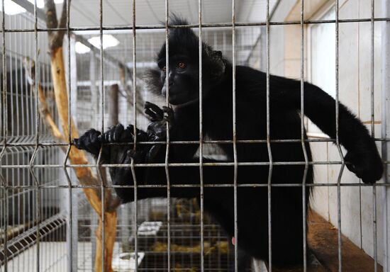 Центр передержки диких животных