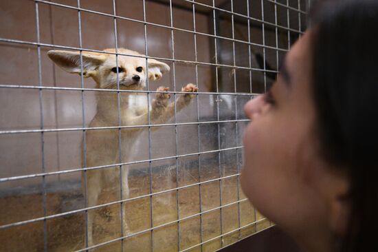 Центр передержки диких животных