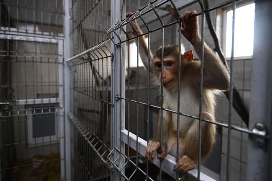 Центр передержки диких животных