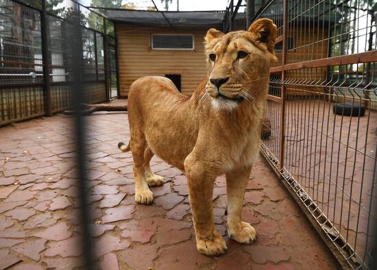 Центр передержки диких животных