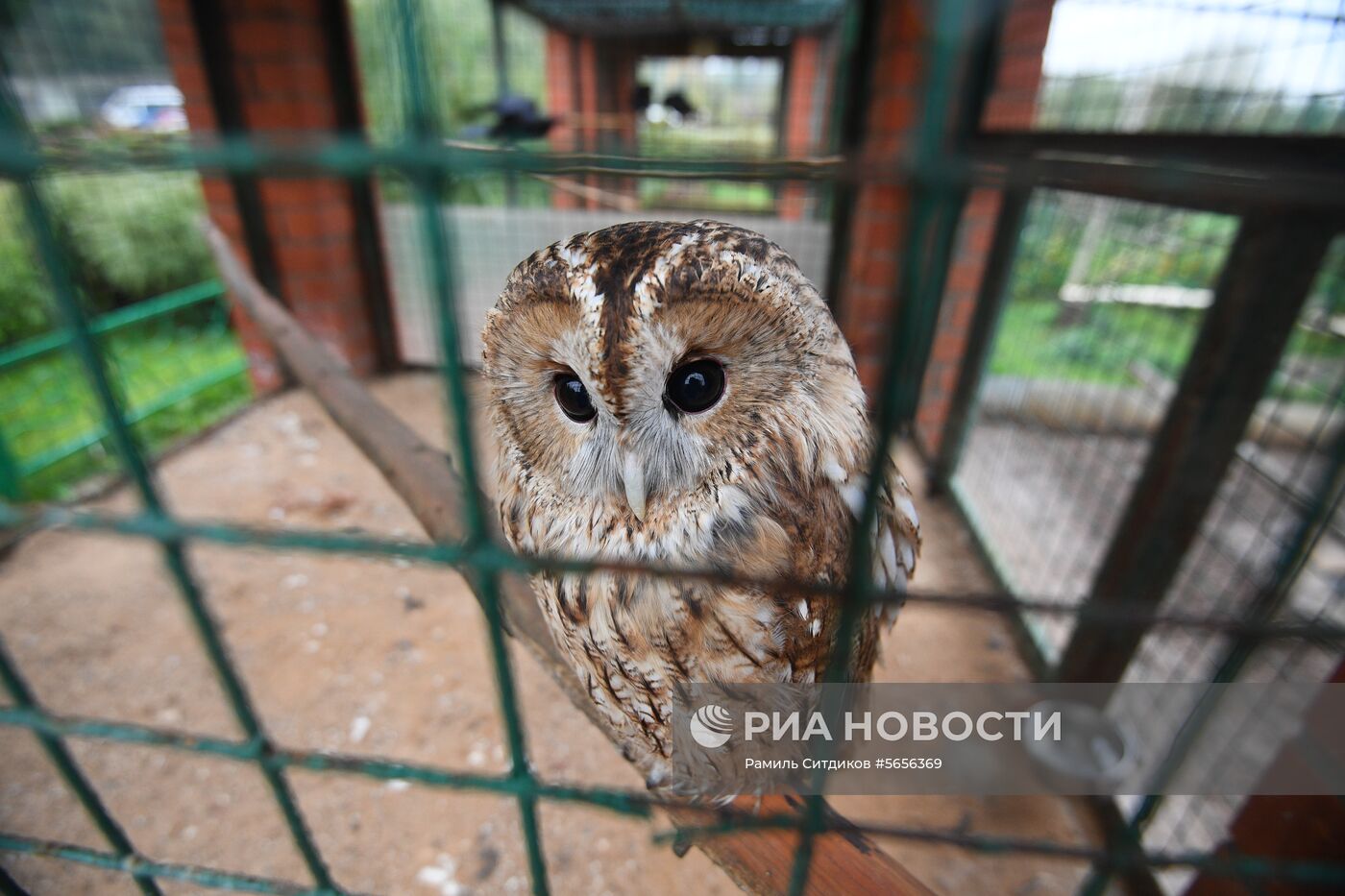 Центр передержки диких животных