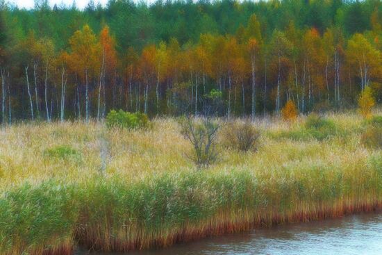 Осень на северо-западе России