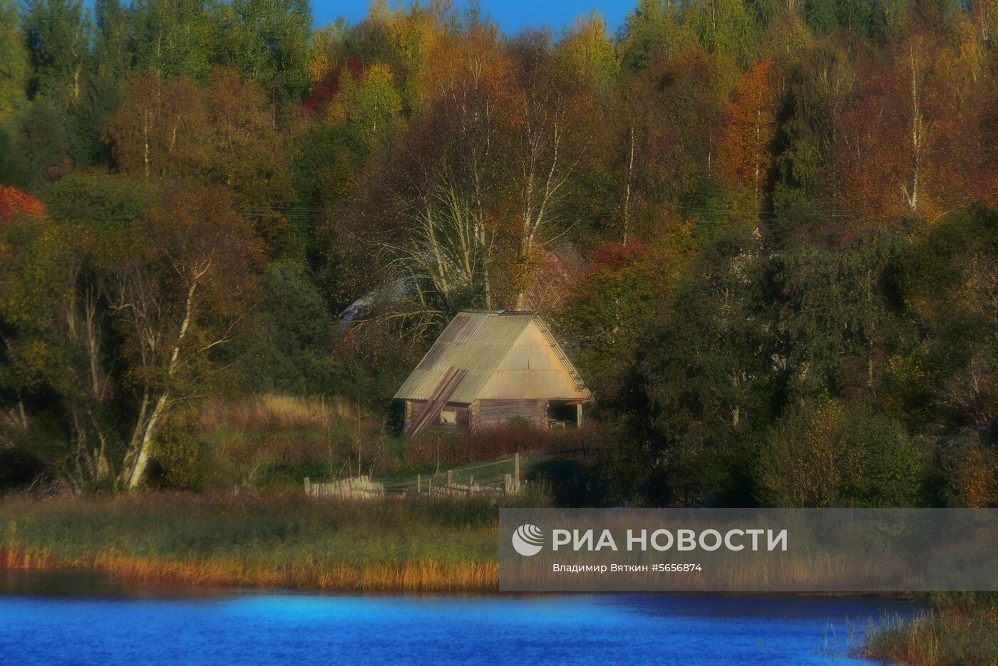 Осень на северо-западе России | РИА Новости Медиабанк