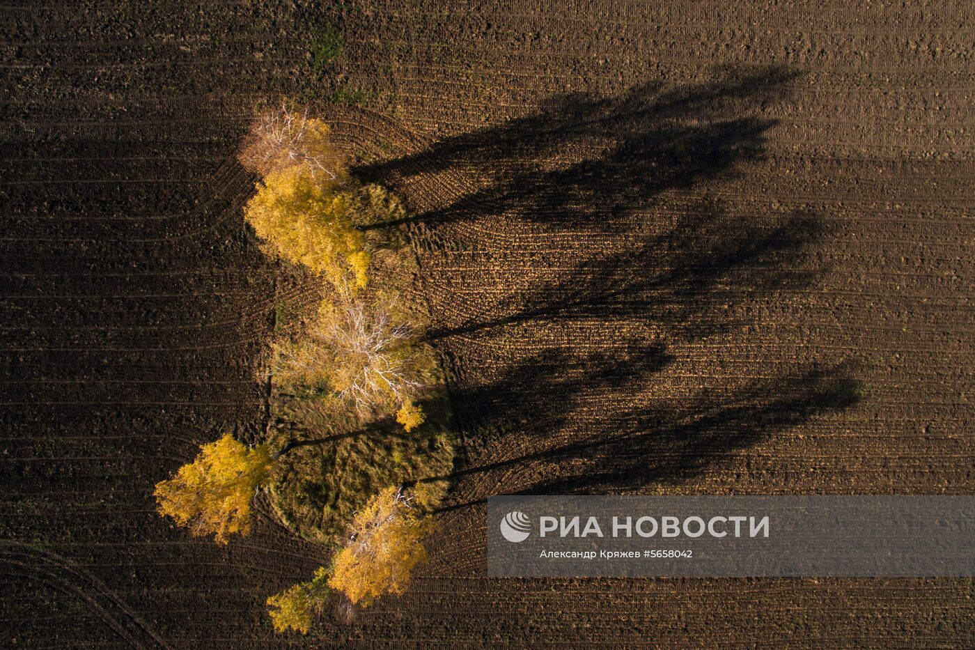 Осень в Новосибирской области