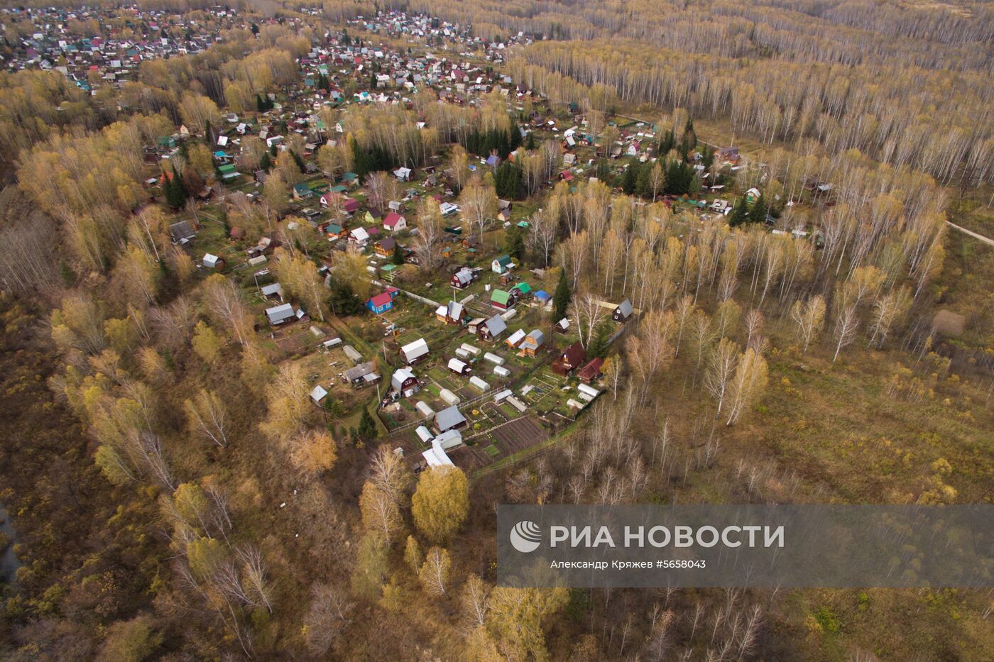 Осень в Новосибирской области