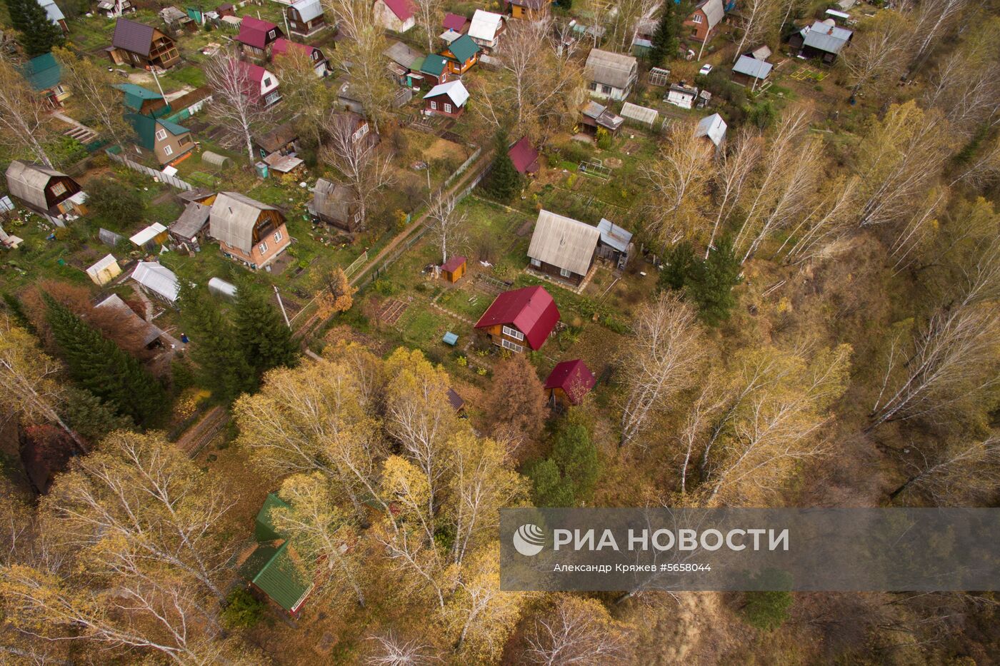 Осень в Новосибирской области