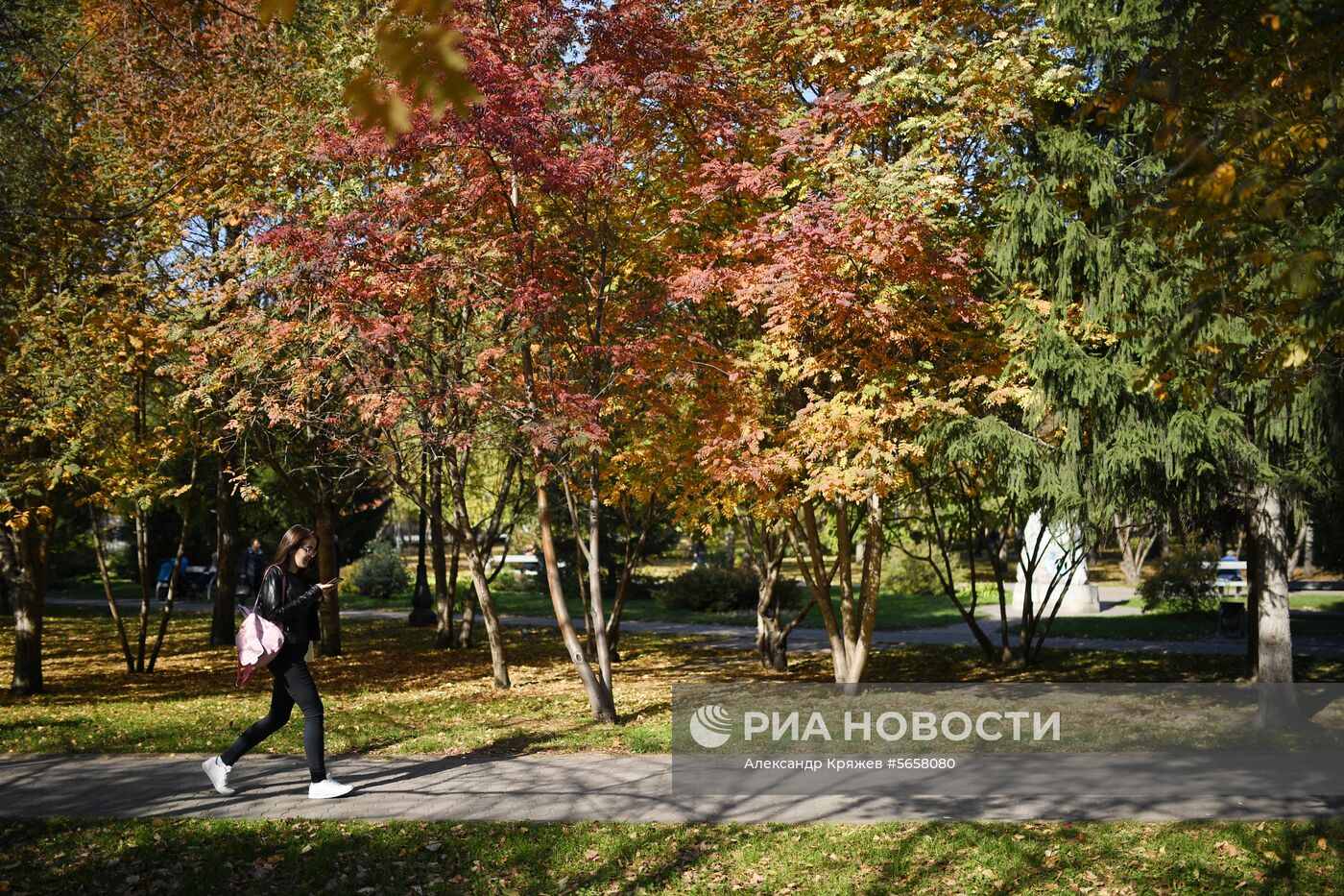 Осень в Новосибирской области