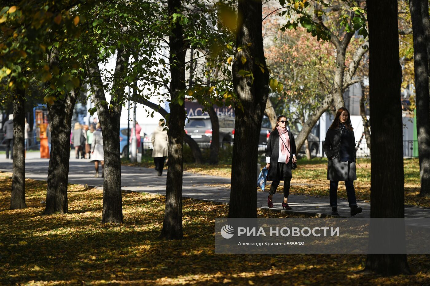 Осень в Новосибирской области