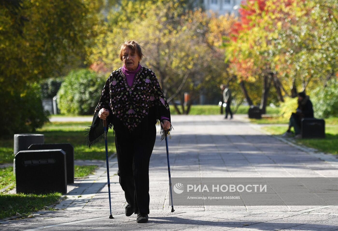 Осень в Новосибирской области