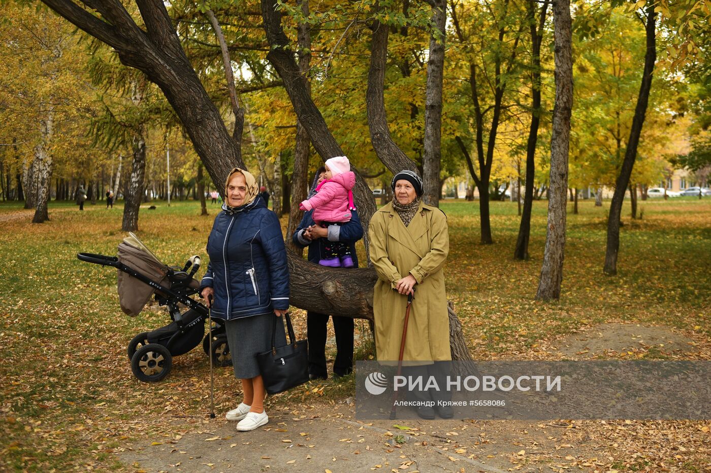 Осень в Новосибирской области