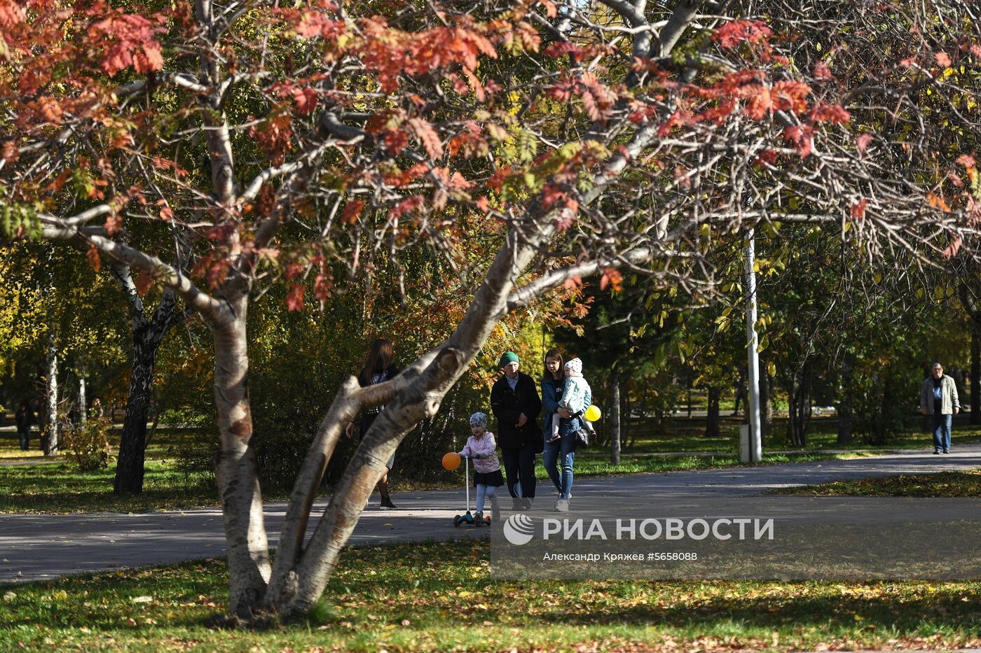 Осень в Новосибирской области