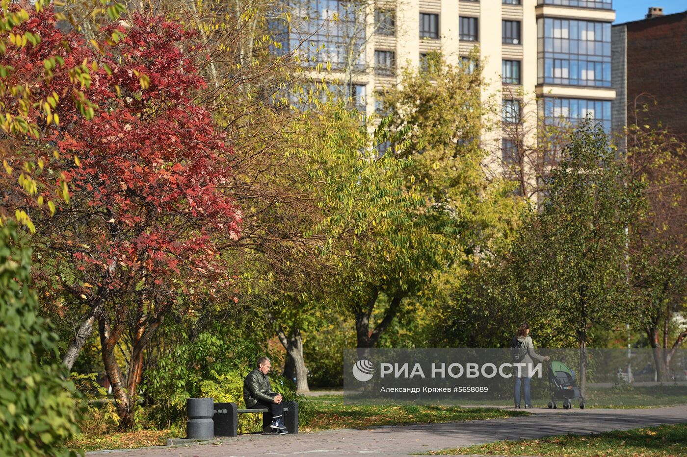 Осень в Новосибирской области
