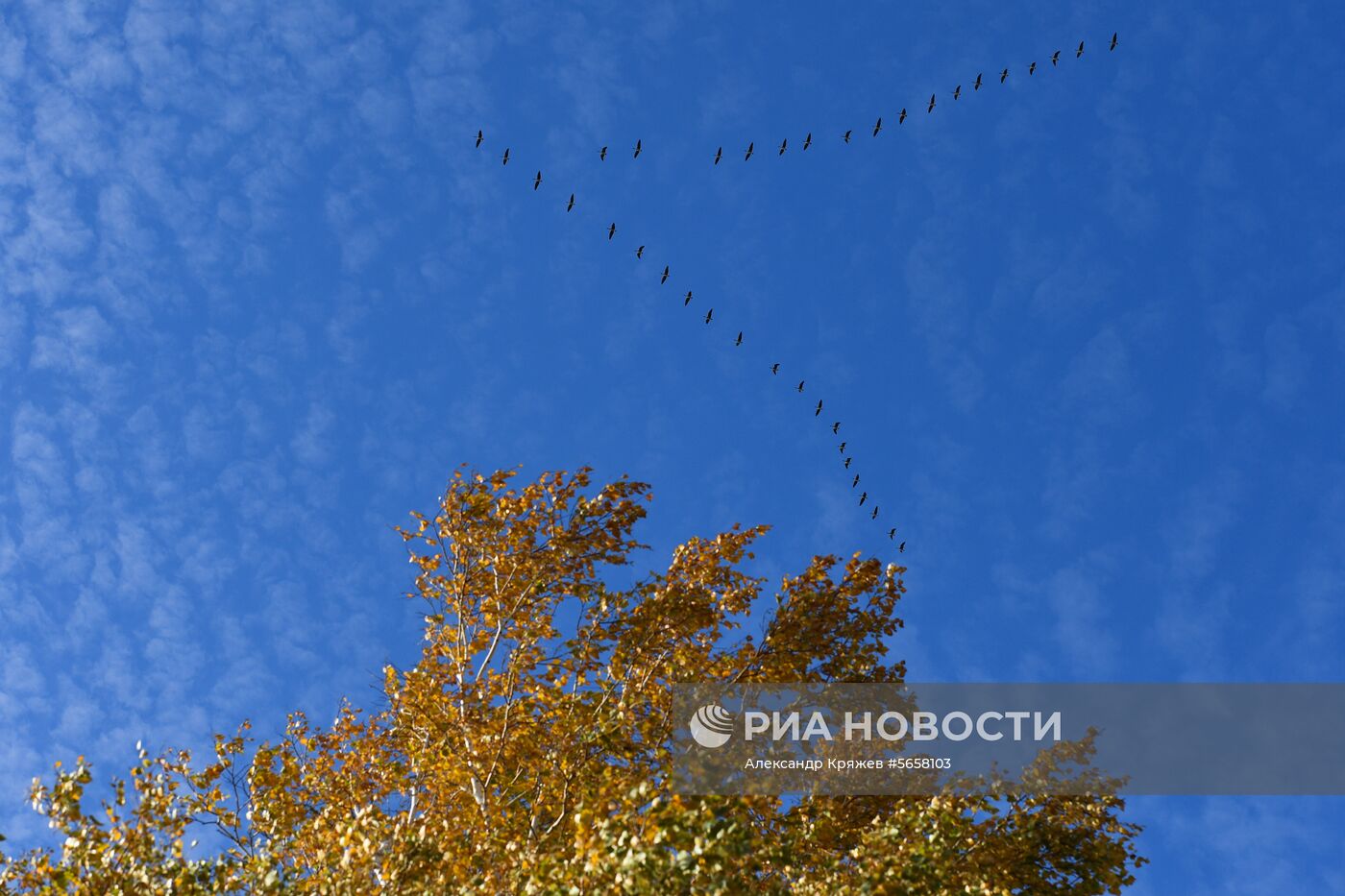 Осень в Новосибирской области