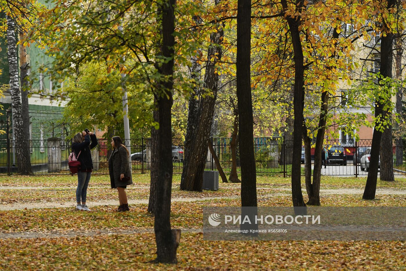 Осень в Новосибирской области