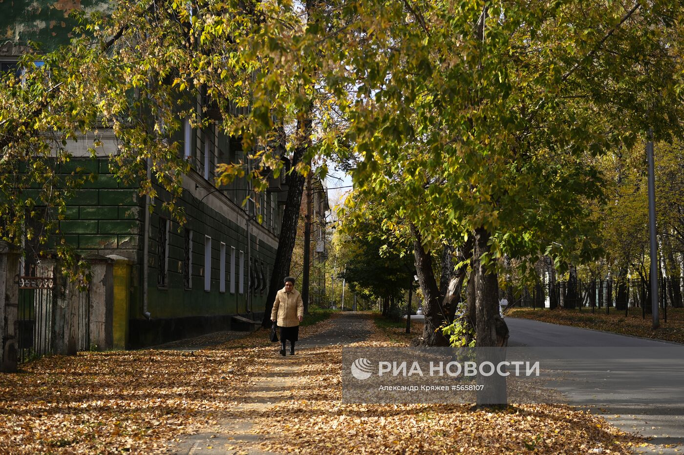 Осень в Новосибирской области