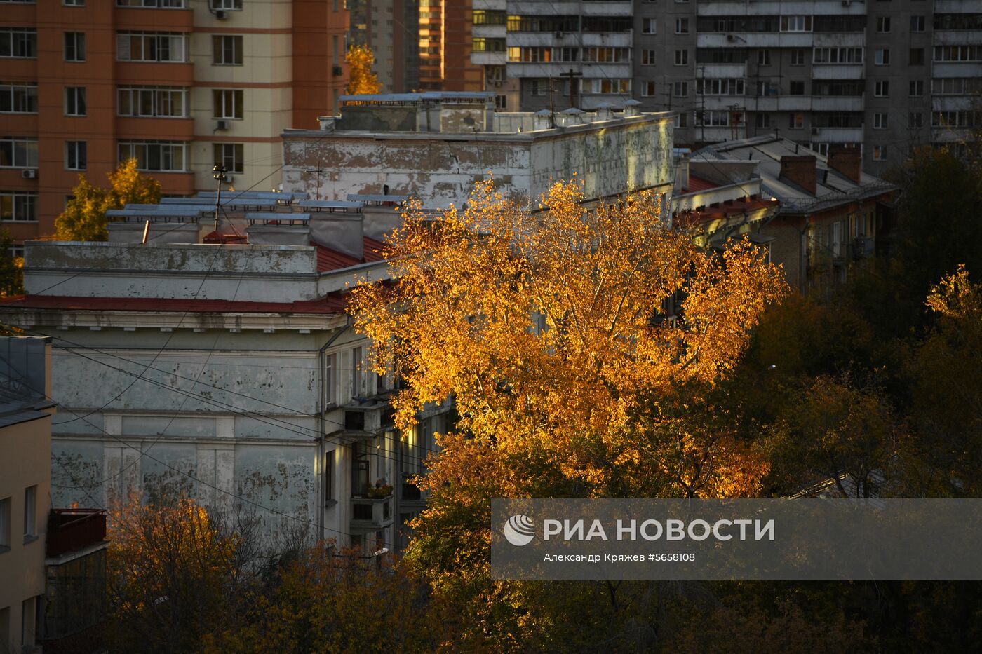 Осень в Новосибирской области