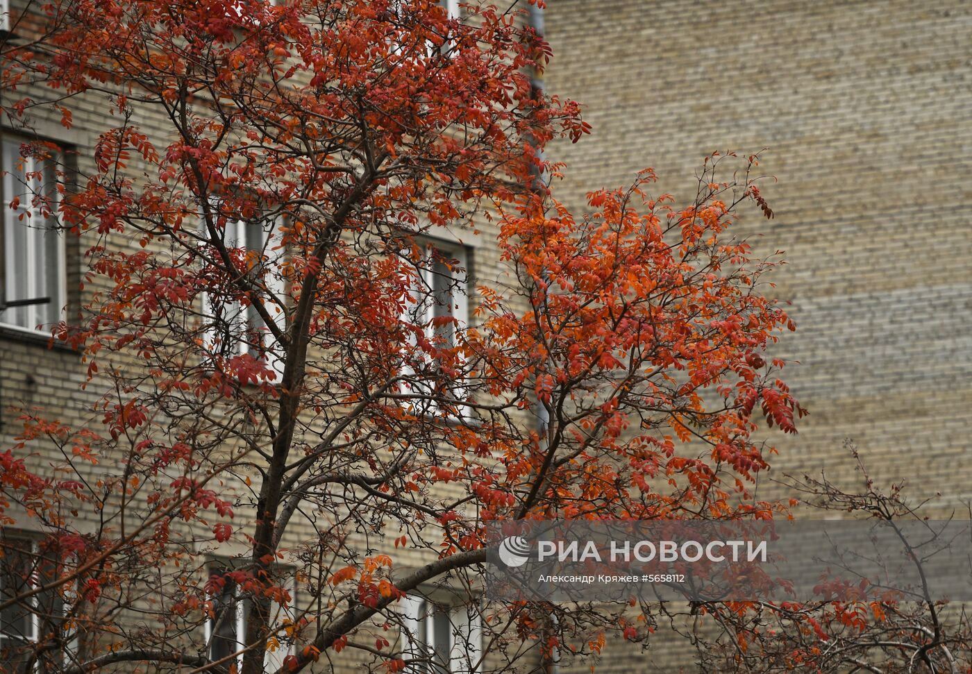 Осень в Новосибирской области