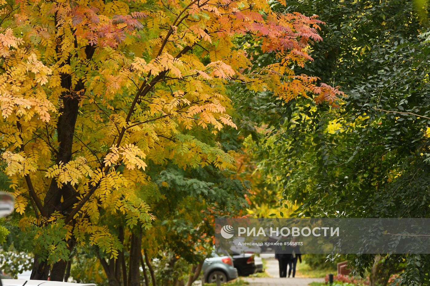 Осень в Новосибирской области