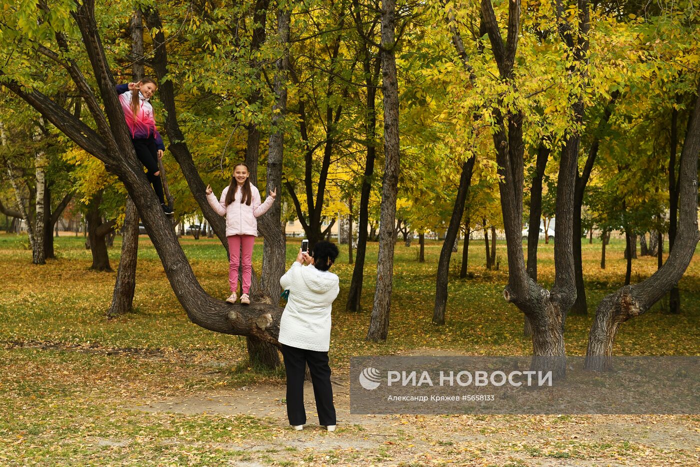 Осень в Новосибирской области