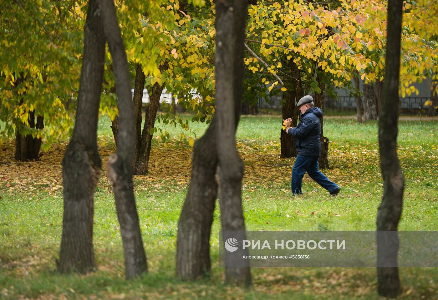 Осень в Новосибирской области