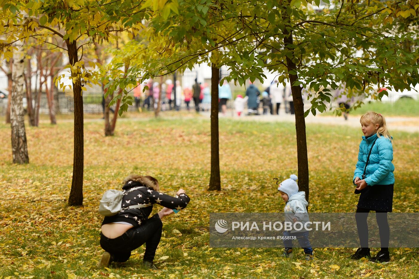 Осень в Новосибирской области