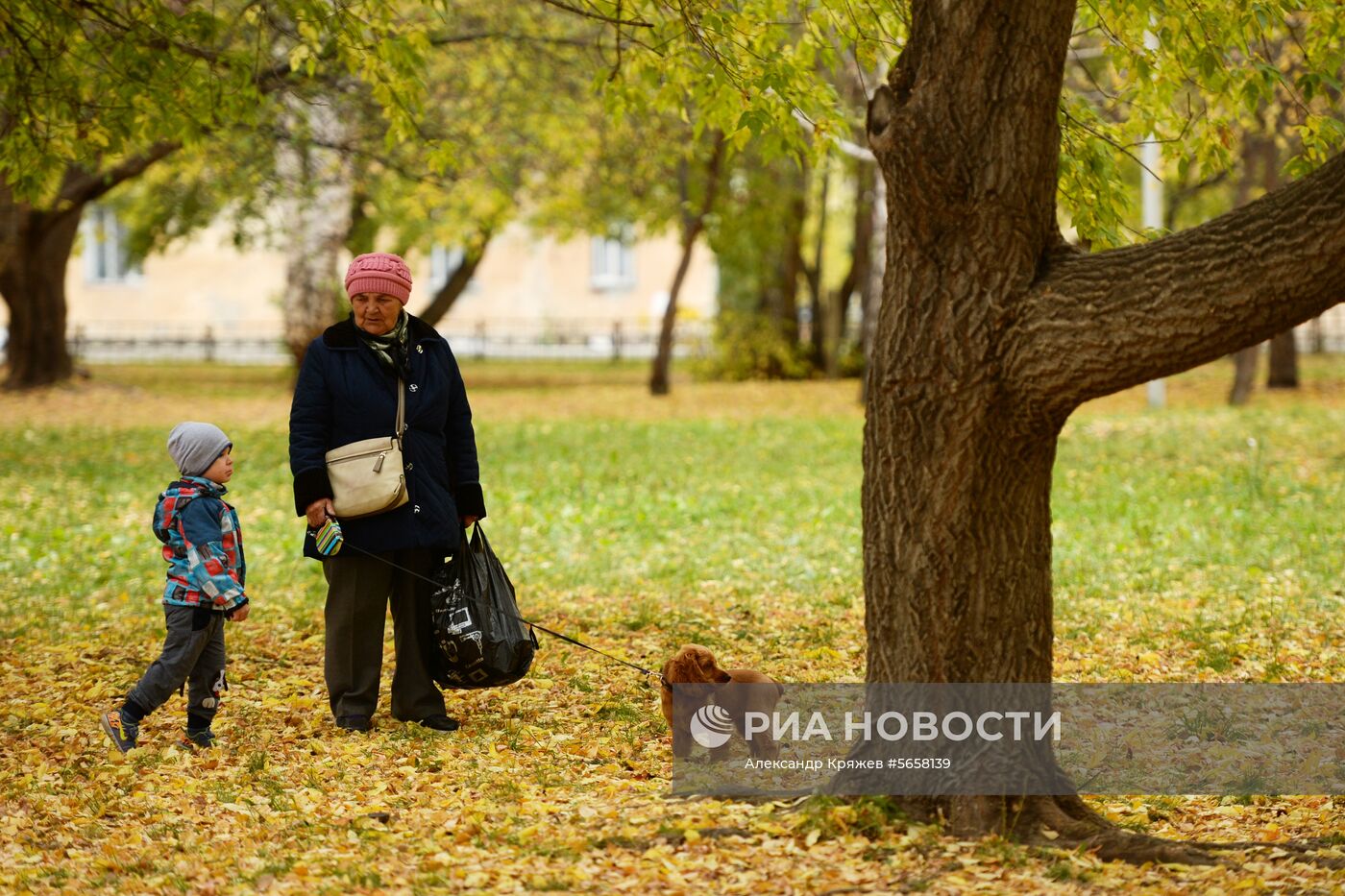 Осень в Новосибирской области
