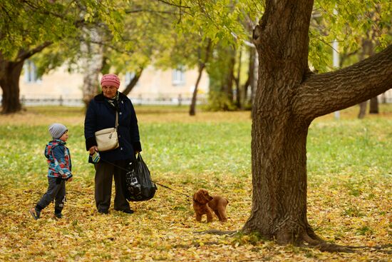 Осень в Новосибирской области