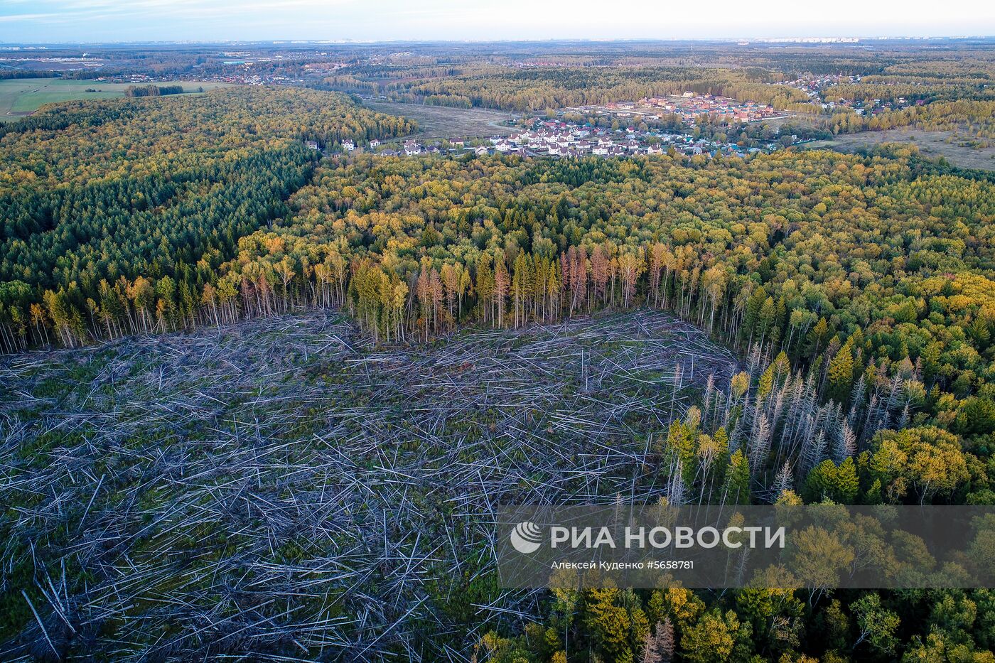 Новостройки в Новой Москве