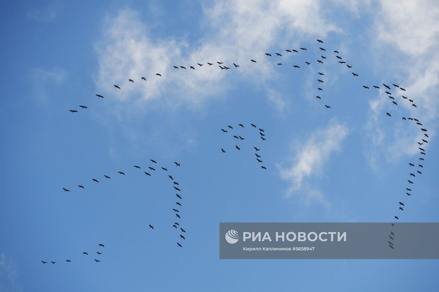 Повседневная жизнь